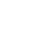 evolution_1_ddddb5ed95.png